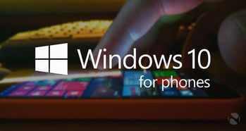 Win10手機(jī)版最后一輪內(nèi)測即將啟動(dòng)，IT浪潮中的移動(dòng)開發(fā)新篇章